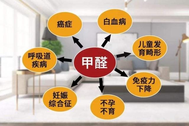 裝修中甲醛含量最多的材料